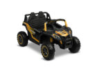Ηλεκτροκίνητη Buggy Axel ΤΟΥΖ