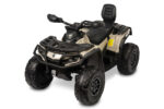 Ηλεκτροκίνητη Buggy Outlander ΤΟΥΖ