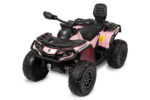 Ηλεκτροκίνητη Buggy Outlander ΤΟΥΖ