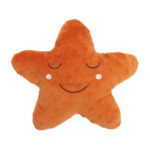 Φωτιστικό αστέρι YOU&ME CHICCO